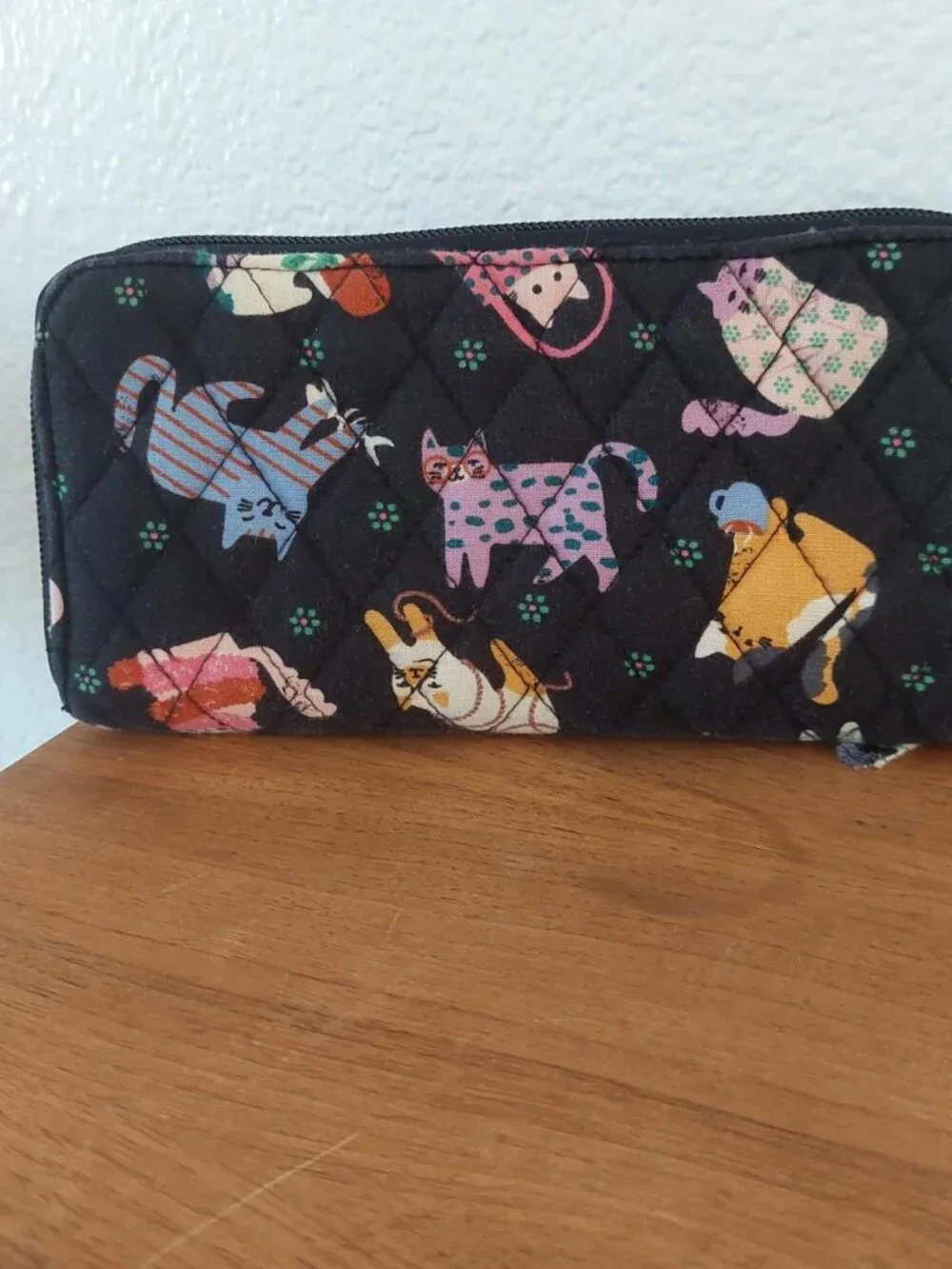 Vera Bradley meow poses